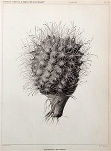 Image description is not available for 1999.017